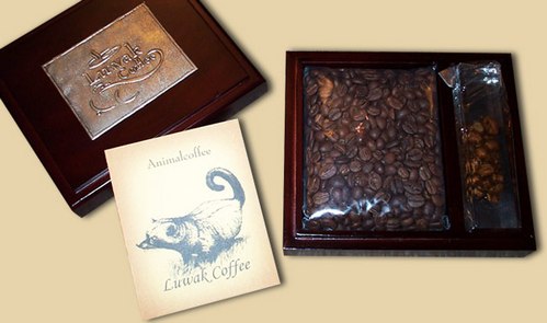 Кофе - ''Kopi Luwak'' Кофе - ''Kopi Luwak''
